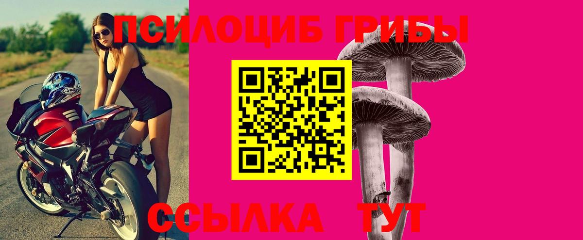 Псилоцибиновые грибы ЛСД Горно-Алтайск